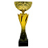 Sportovní pohár Standart NJS0346