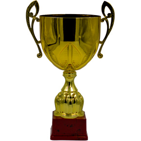 Sportovní pohár Luxus NJL0125 KAI