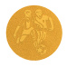Emblém fotbal 25 mm - zlatý