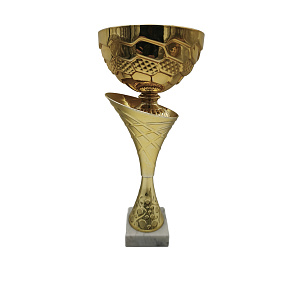 Sportovní pohár Standart NJS0246 VEZIR