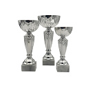 Sportovní pohár NJE0126 DESON stříbrný