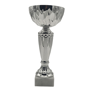 Sportovní pohár NJE0126 DESON stříbrný