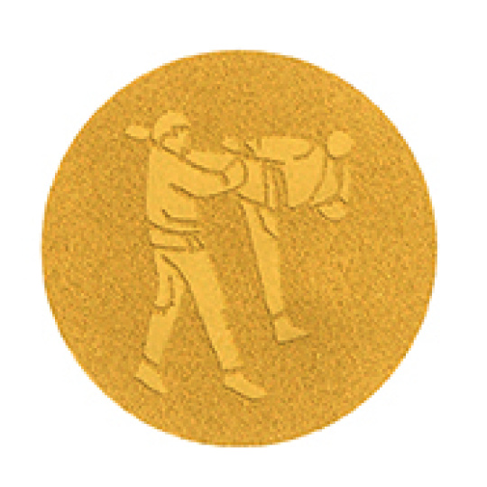 Emblém karate 25 mm - zlatý