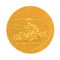 Emblém motokáry 25 mm - zlatý