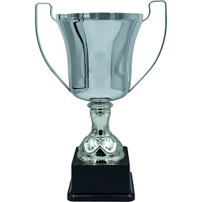 Sportovní pohár Luxus NJL0096 LIVERPOL