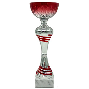 Sportovní pohár standart NJS0386 REDY