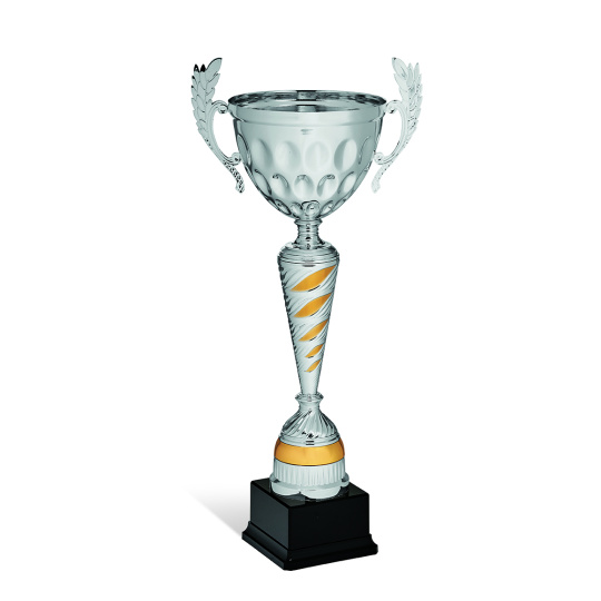 Sportovní pohár Standart SX0152 PAROCHI