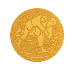Emblém judo 50 mm - zlatý