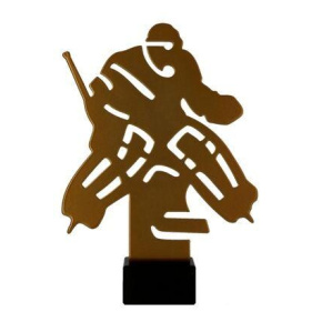 Kovová trofej Hokejový brankář